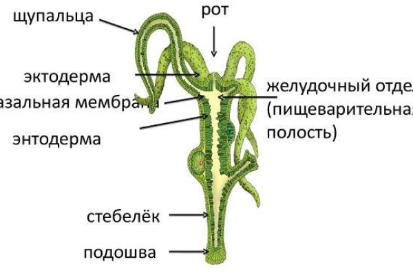 Кракен ссылка онион зеркало